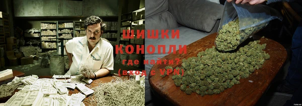 прущие грибы Верхнеуральск