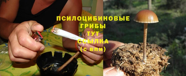 стаф Верхний Тагил