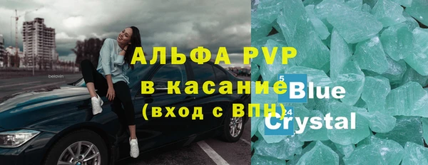 прущие грибы Верхнеуральск