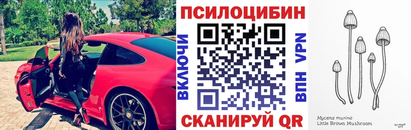 Галлюциногенные грибы мицелий  Урень 